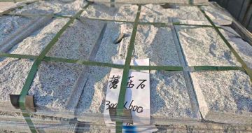 聊城芝麻白蘑菇石，自然面